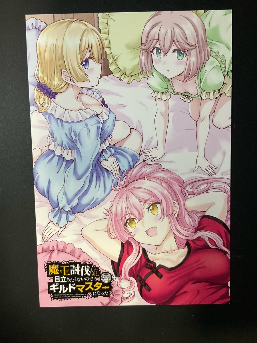 売れ筋公式店 魔王討伐したあと、目立ちたくないのでギルドマスターに ...