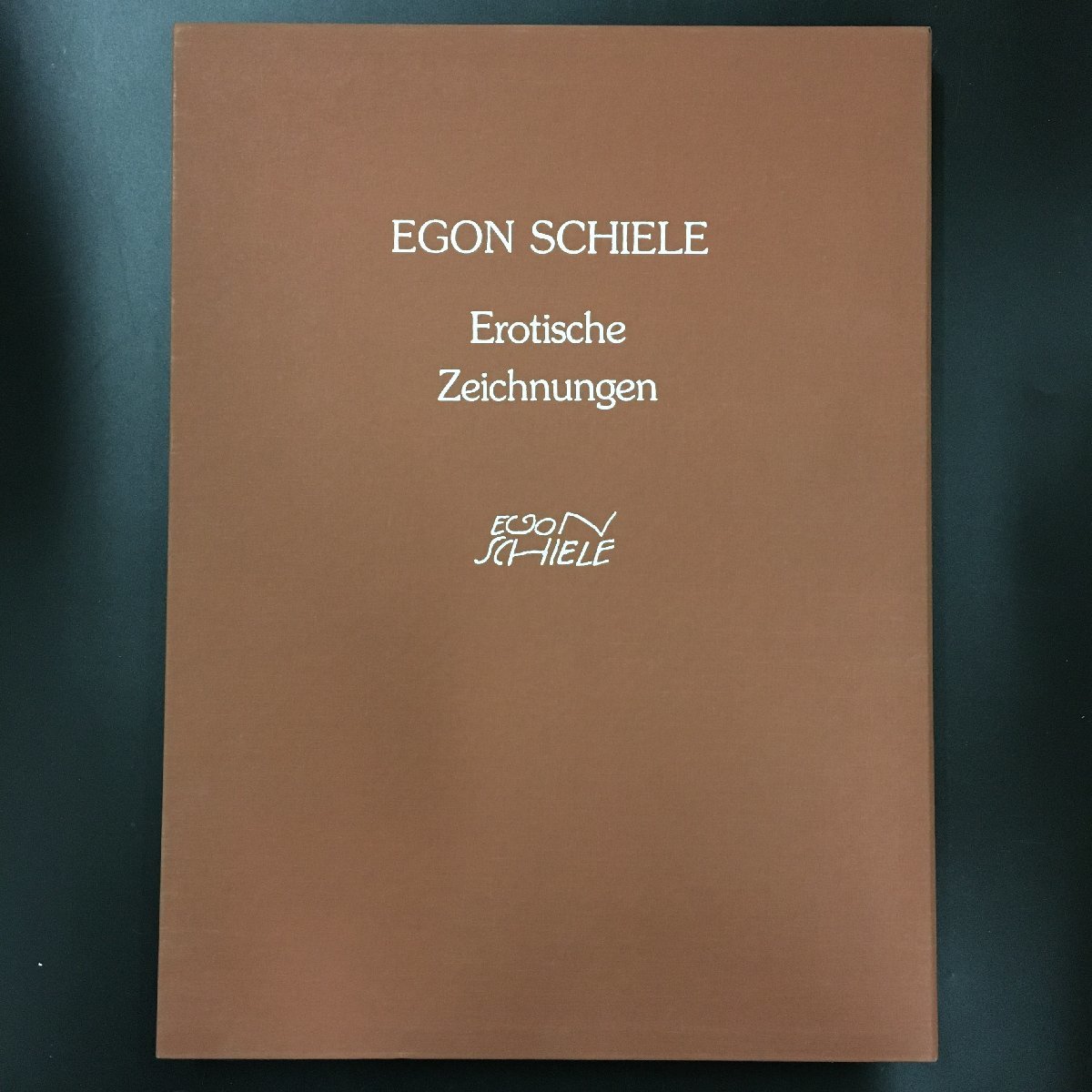 エゴンシーレ全作品集EgonSchiele TheCompleteWorks Egon Schiele: The Complete Works / Egon Schiele | 小宮山書店