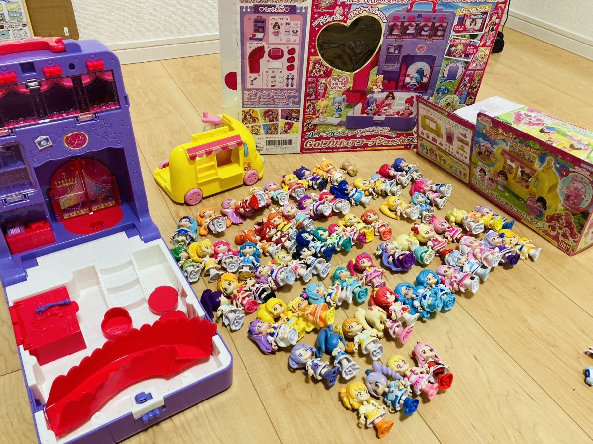 プリモジナのリーフレット