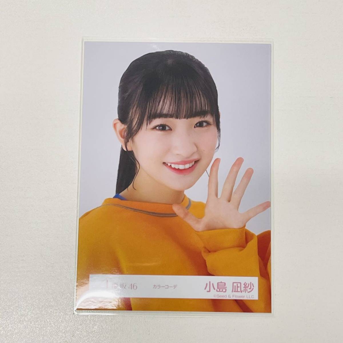 櫻坂46 小島凪紗 生写真 まとめ売り 櫻坂46小島凪紗