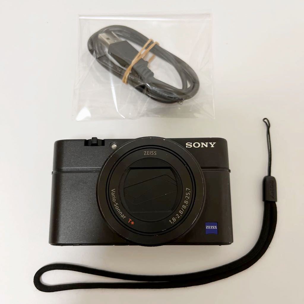 Sony Cybershot DSC-rx100 カメラ ジャンク ジャンクなSONY RX100を