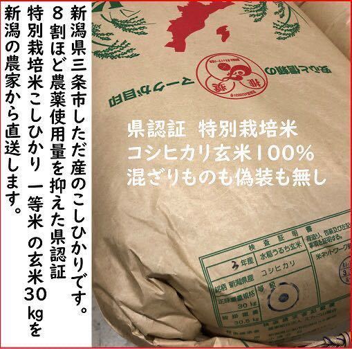 減農薬 新潟こしひかり玄米粉900g 新潟県三条市旧しただ村産 特