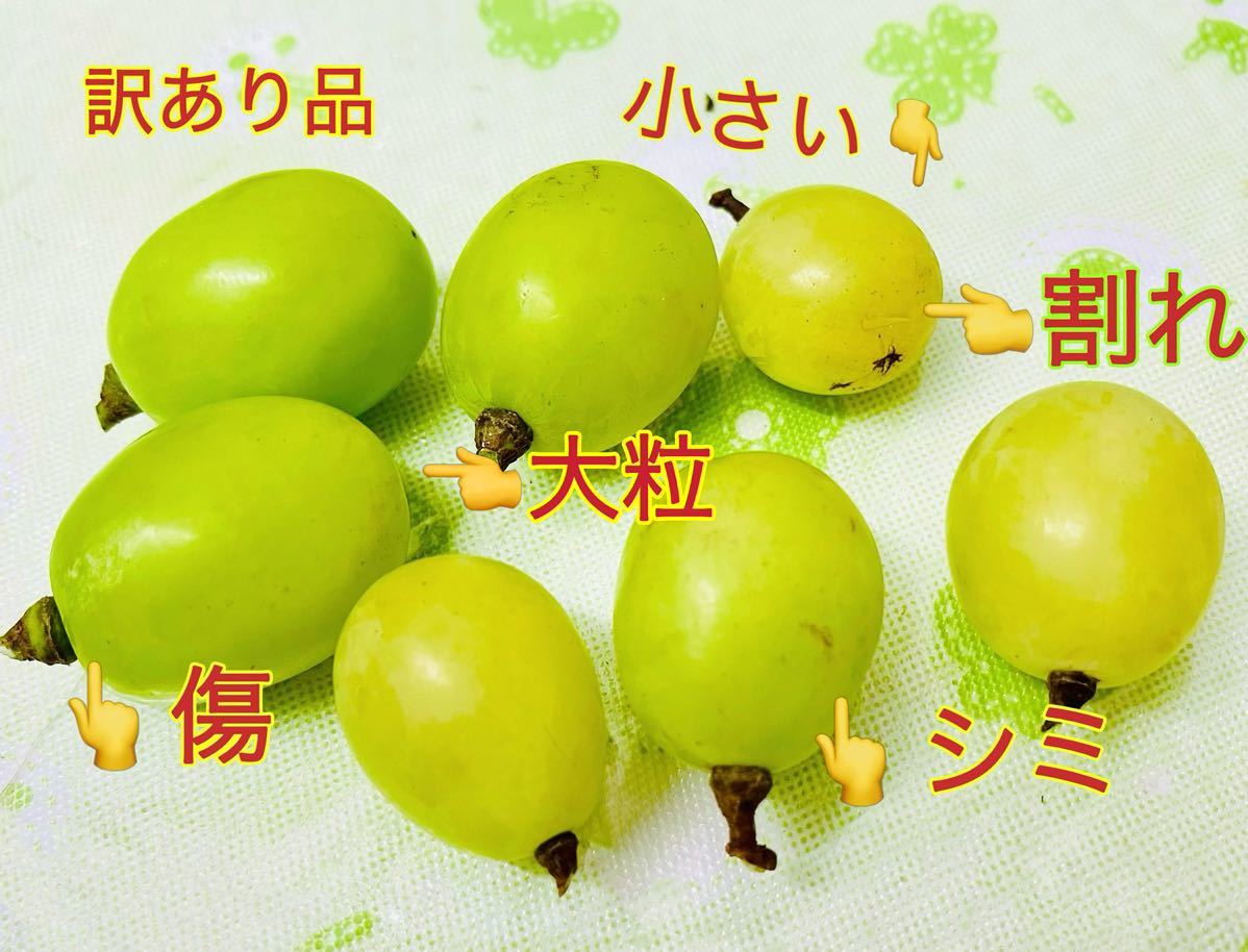 SHINGO様 専用 Shingo様専用 SHINGO@様専用お取り置きページになります