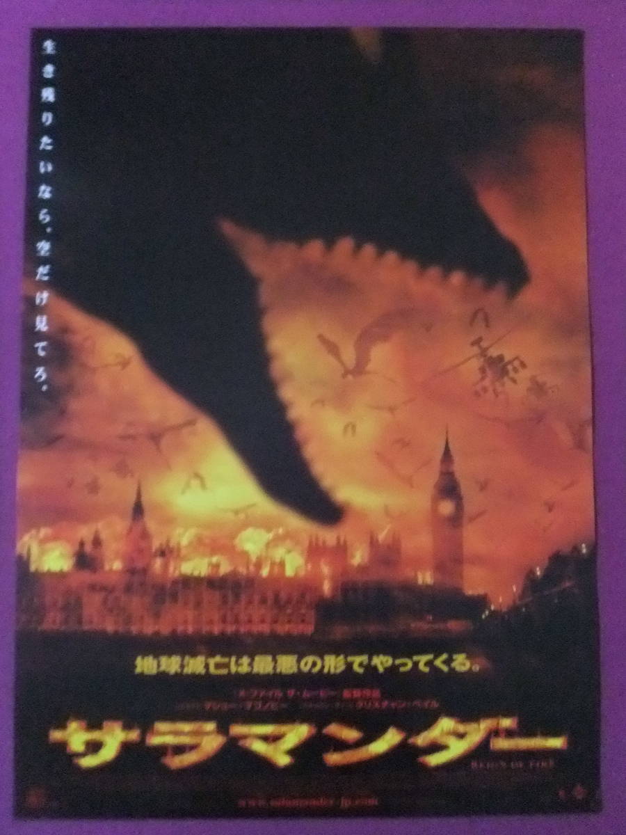 イザベラ・スコルプコ☆直筆サイン写真☆証明書COA◇4197の落札情報