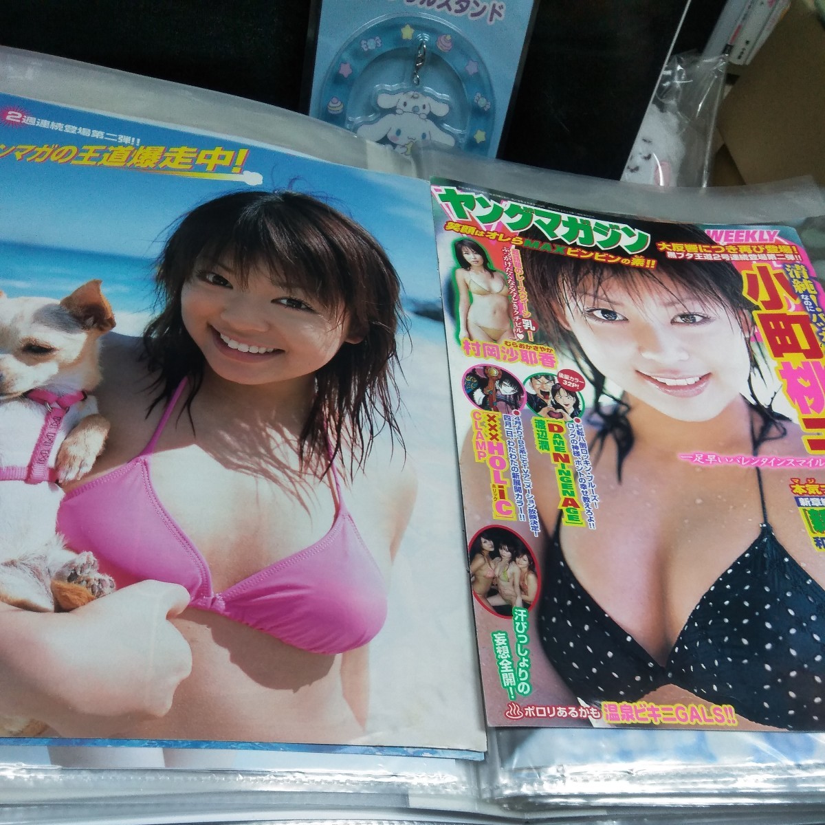 切抜】北乃きい ヤングマガジン 2005年43号 余儀なく
