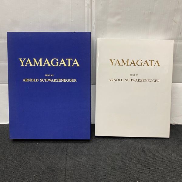 傷や汚れあり】Q509-O37-1198 直筆サイン入/YAMAGATA TEXT BY ARNOLD