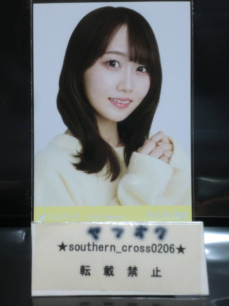 Amazon.co.jp: 乃木坂46 菅原咲月直筆サイン入りチェキ ヤング
