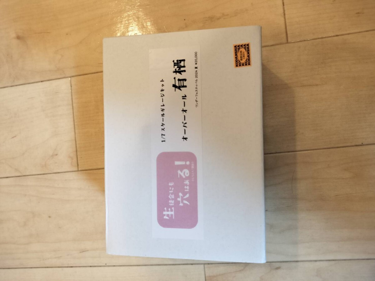 未使用】【WF2024S限定】 YZPhouse 生徒会にも穴はある