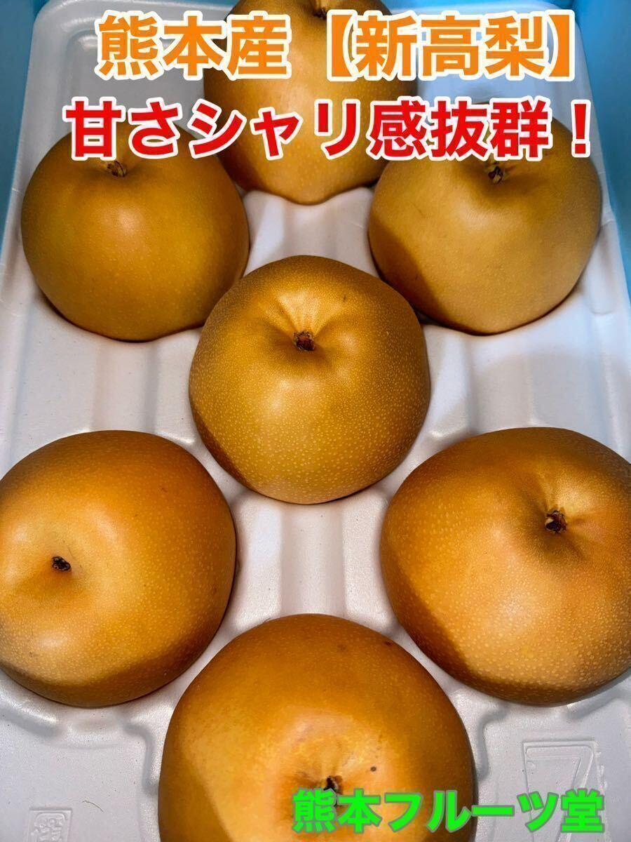 【未使用】【大玉】即発送!熊本産【新高梨】(7〜8玉5k箱満杯)熊本フルーツ堂57の落札情報詳細 - Yahoo!オークション落札価格検索 ...