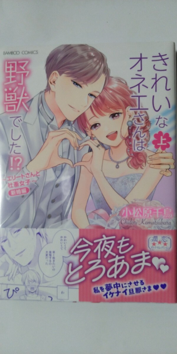 きれいなオネエさんは野獣でした!?エリートさんと社畜女子 新婚編  