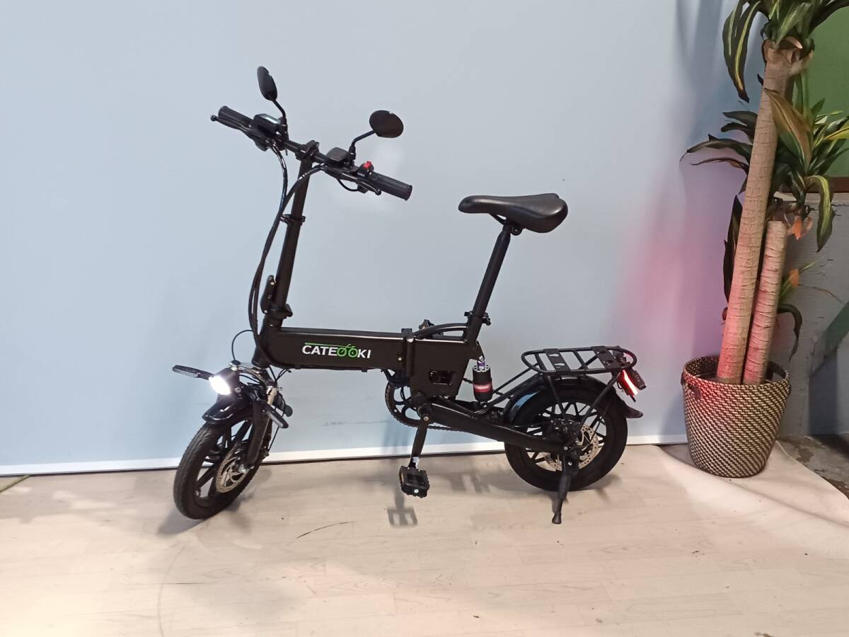 送料無料HoldOnディスク式 折り畳み電動自転車Q1 14インチ 動作