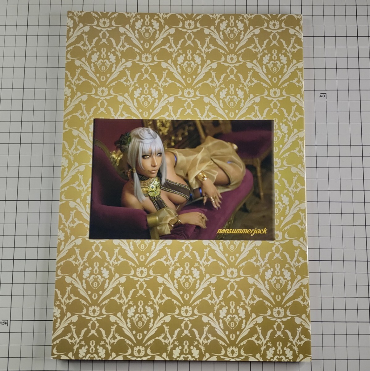 未使用】non nonsummerjack C105 新刊セット 写真集 ROM
