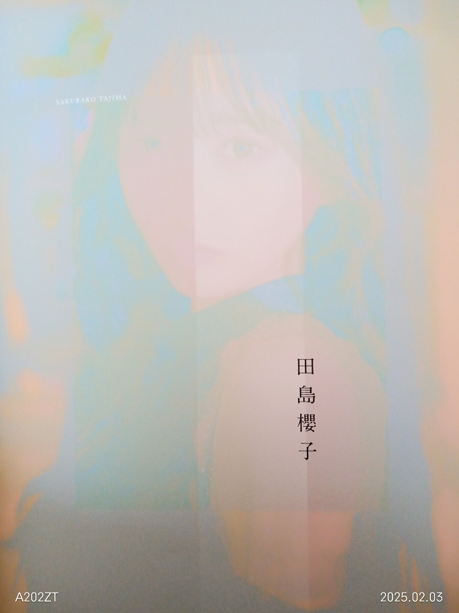 田島櫻子 1st写真集 さくらんぼ & 撮影メイキングDVD 未使用に近い】田島櫻子 (Onephony) 1st写真集『さくらんぼ