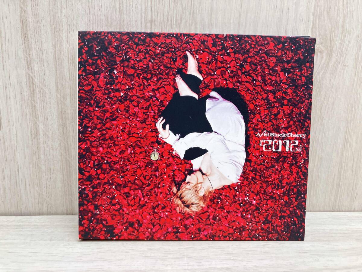 Acid Black Cherry セットアップパーカー&サルエル 使い切れ