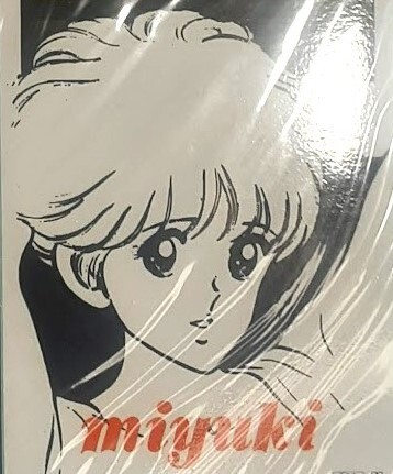 若松みゆき みゆき キャンパス カレンダー 昭和レトロ ip15/みゆき 1984年4月～1985年3月 キャンパスカレンダー B2