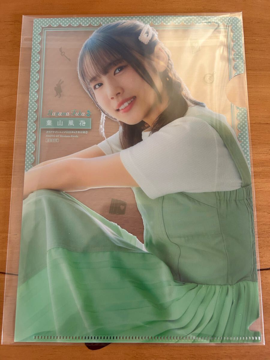 新品】非売品◇マケン姫っ！-MAKEN-KI!-クリアファイル*月刊ドラゴン