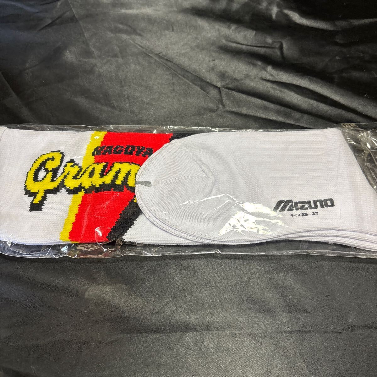 中古】望月重良 直筆サインカード 日本代表 サッカー Jリーグ
