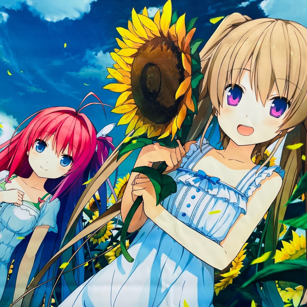 Chaos カオス 殻を破った小鳥 市ノ瀬 莉佳 SP サイン ChaosTCG 殻を