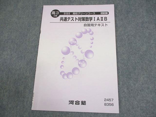 傷や汚れあり】SO82-026 河合塾 高校グリーンコース 東大現代文/ONE