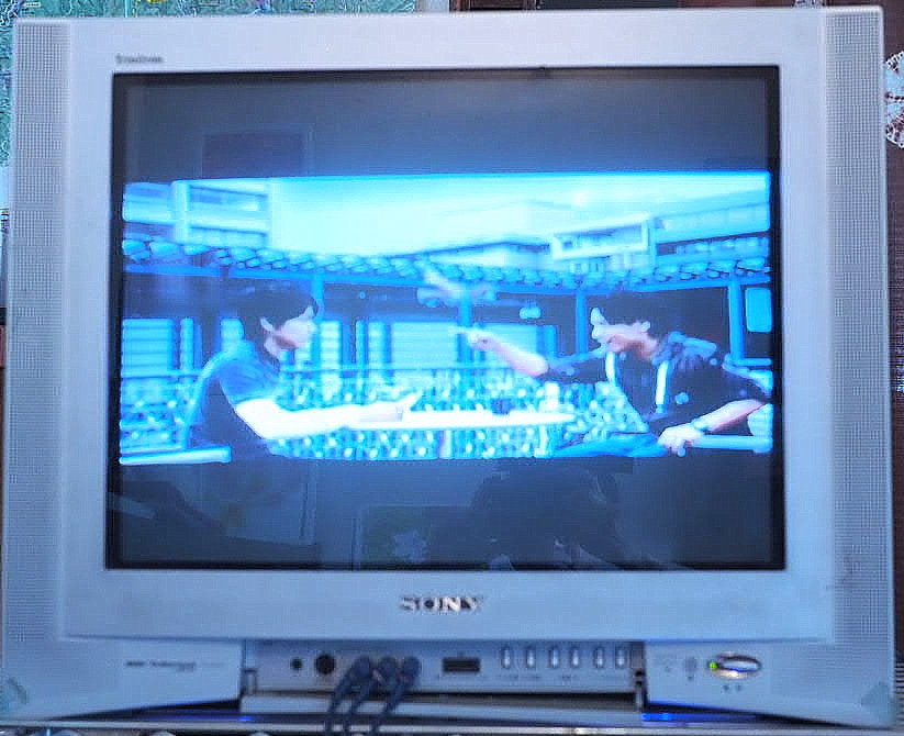 SHARP VT-14GY20 ブラウン管テレビデオ SHARP シャープ 14型 ビデオ