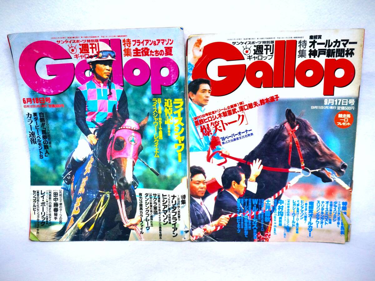 傷や汚れあり】ライスシャワー最期のレース 1995年 第36回宝塚記念