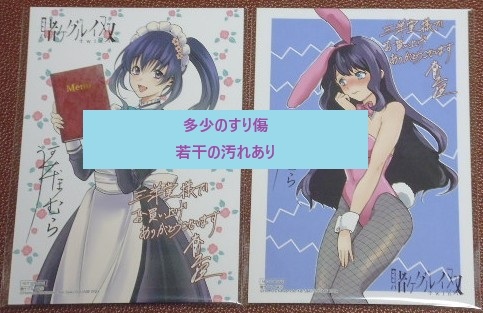 賭ケグルイ 三洋堂書店購入特典 9巻 イラストカード 賭ケグルイ 9巻 三洋