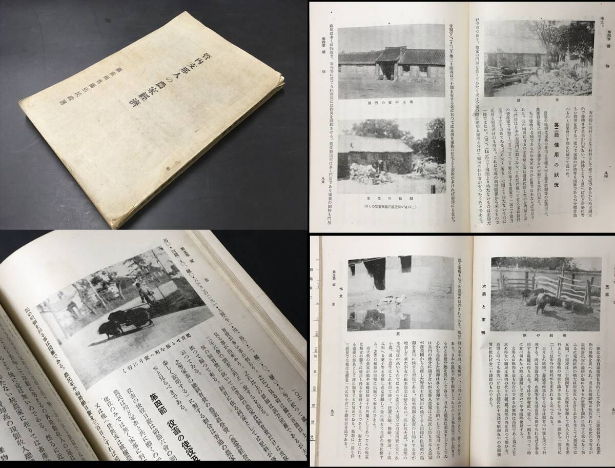 戦前 中国【写真良 大連関東庁刊 管内支那人の農家経済 関東州普蘭店民政署 291頁 昭和7年】検 中国共産党 日中戦争 支那事変 日本軍 2の1番目の画像