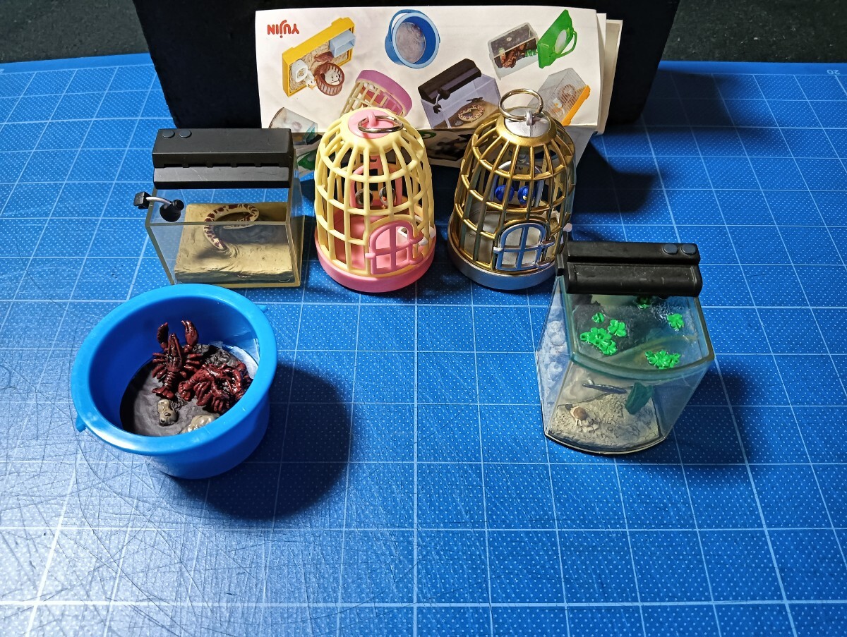 パンプキンf3:アメリカザリガニ  パンプキンf3:アメリカザリガニ の落札情報詳細 - Yahoo!オークション