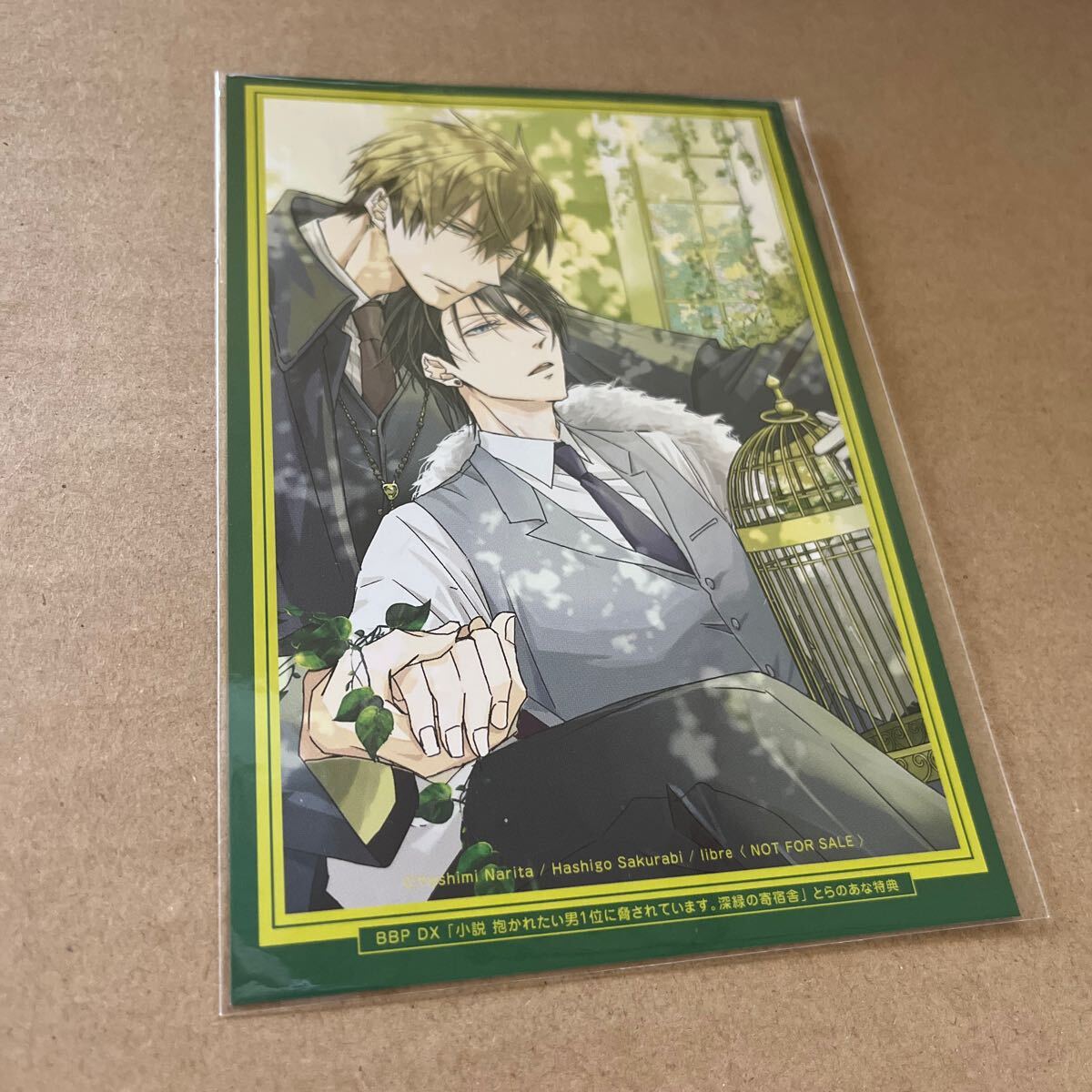 A00】抱かれたい男1位に脅されています。 だかいち ポストカード