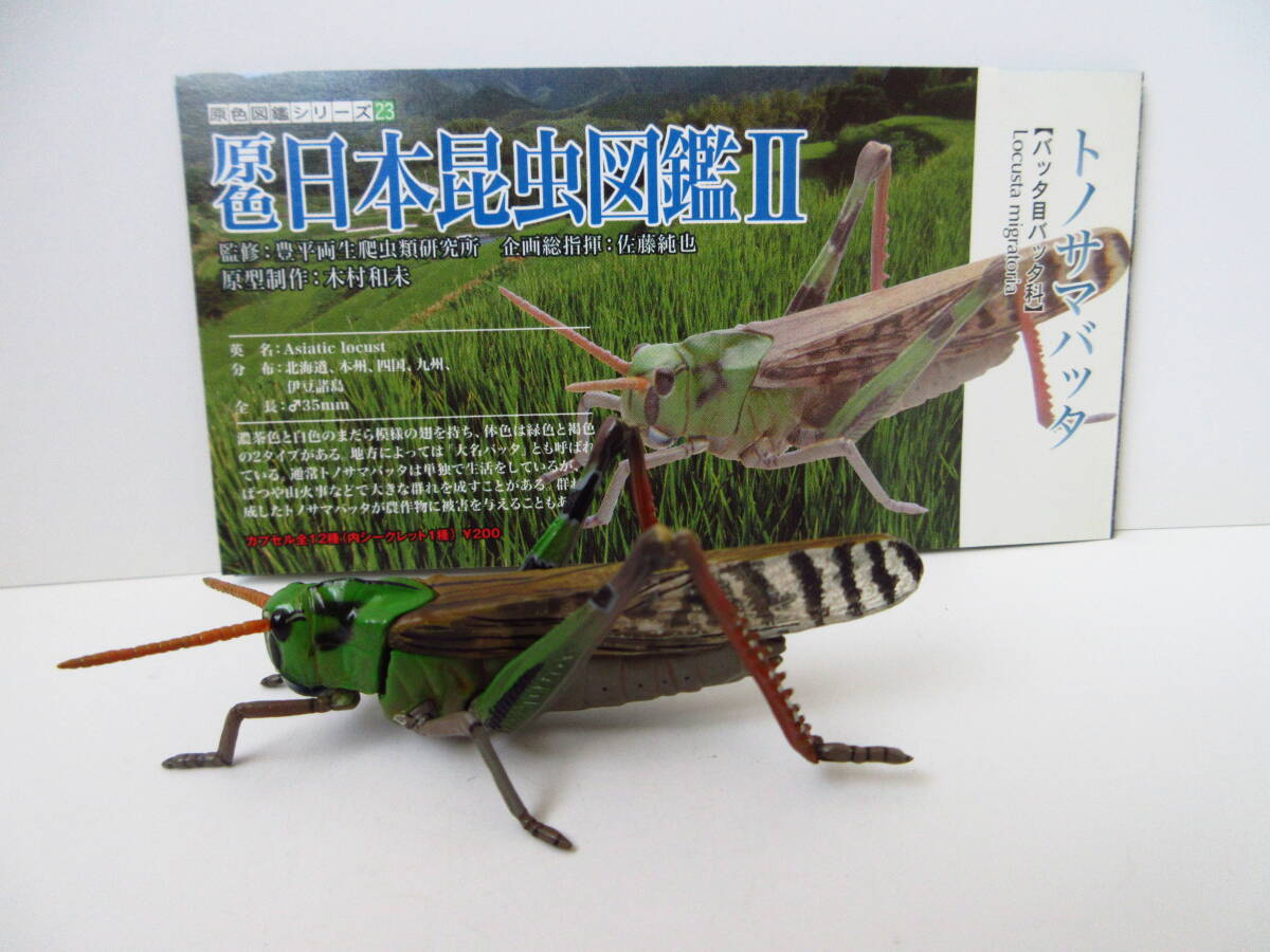 銅製 蟋蟀 バッタ 在 銘 銅製蟋蟀在銘