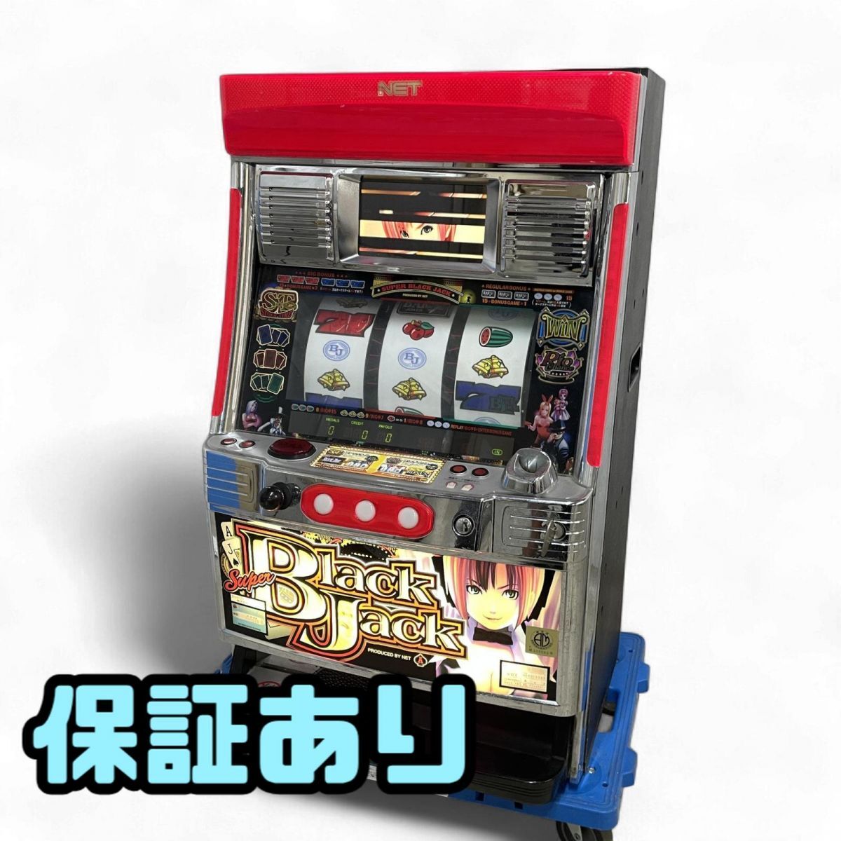 新品】Rio リオ ミント 等身大タペストリー スーパーブラックジャック