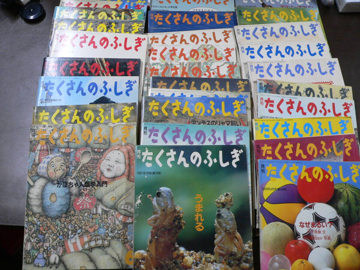 L6/月刊たくさんのふしぎ 絵ときゾウの時間とネズミの時間 1993.3月号 
