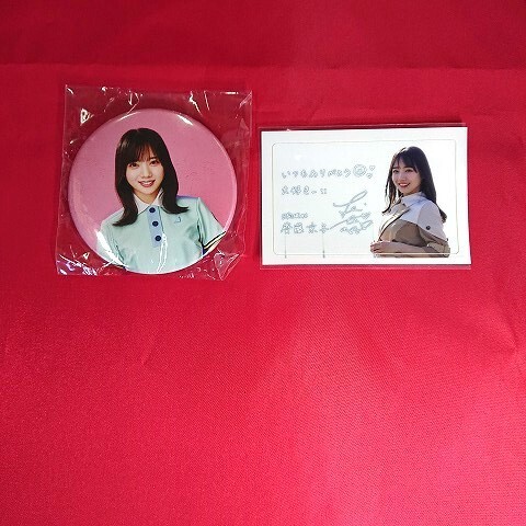 会員証裏面、氏名未記入】安室奈美恵 【fan space】 FC 会員カード 2