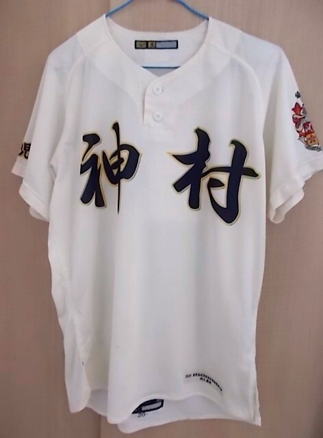 尽誠学園高校野球部(香川)公式試合用帽子 甲子園出場校の落札情報詳細