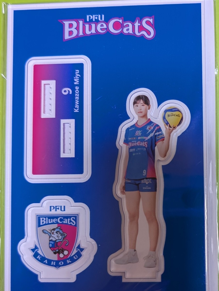 美品 】☆女子バレーVリーグ PFUブルーキャッツ 狩野舞子 直筆サイン