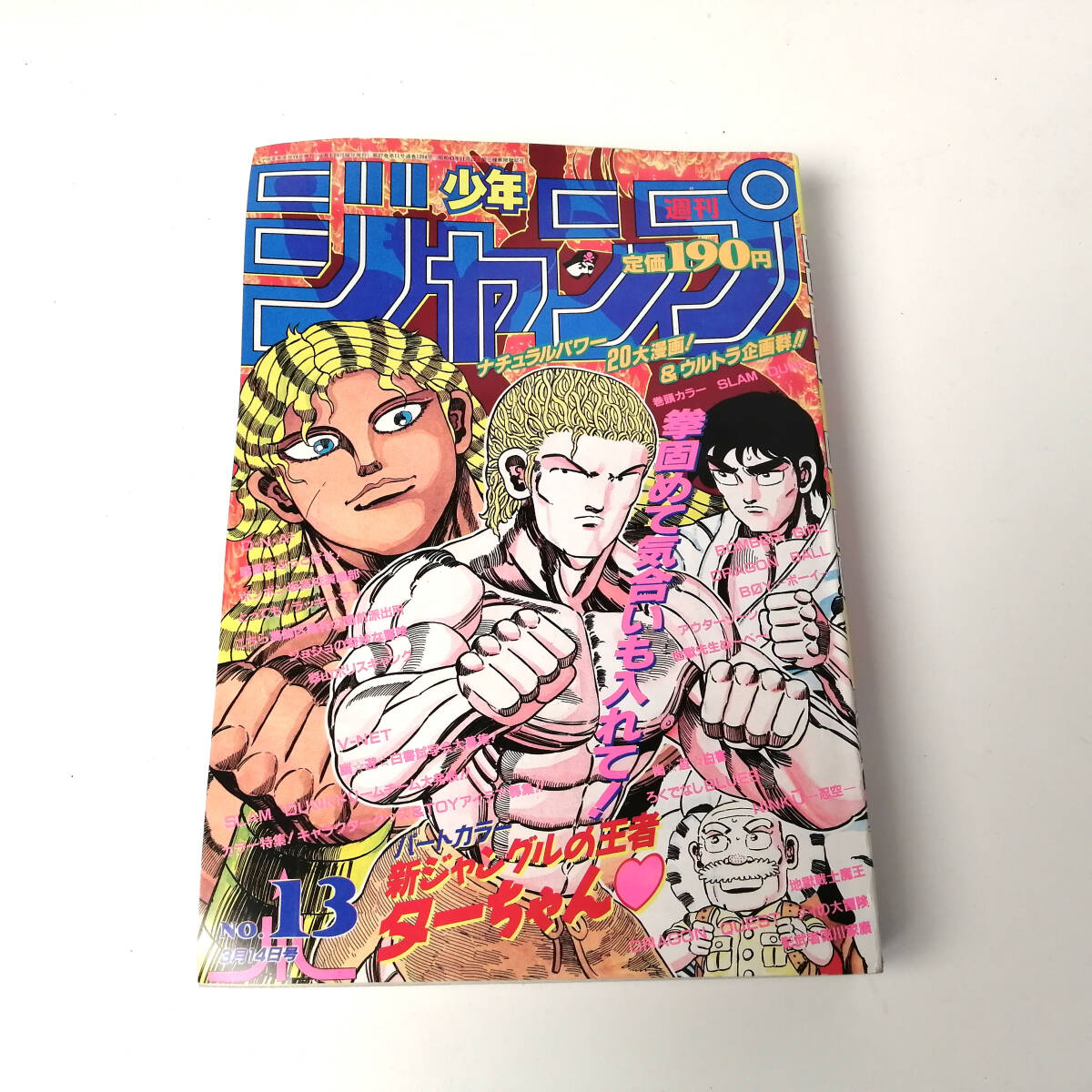 1円 初版 カードダス スラムダンク キラカード 暗室保管 No.23 宮崎