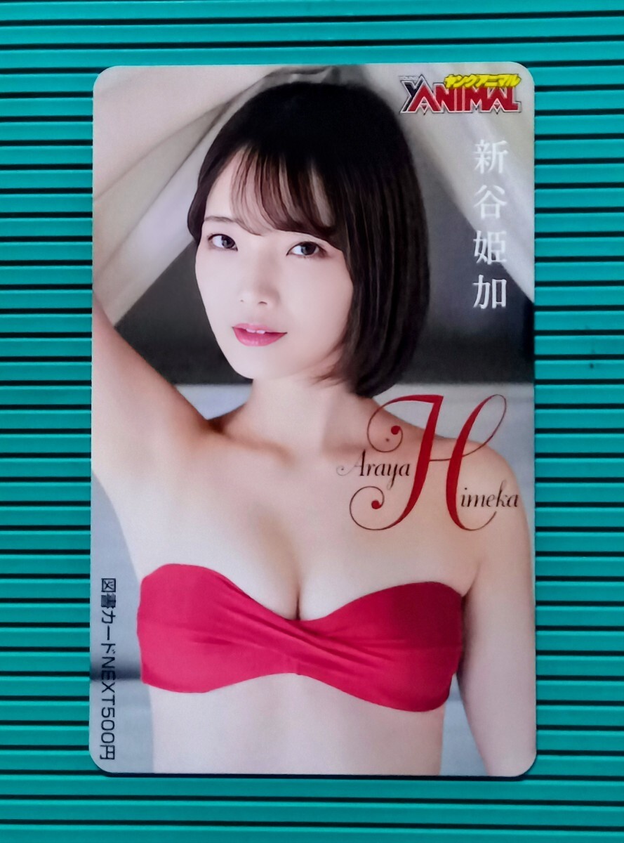 花井 美里
