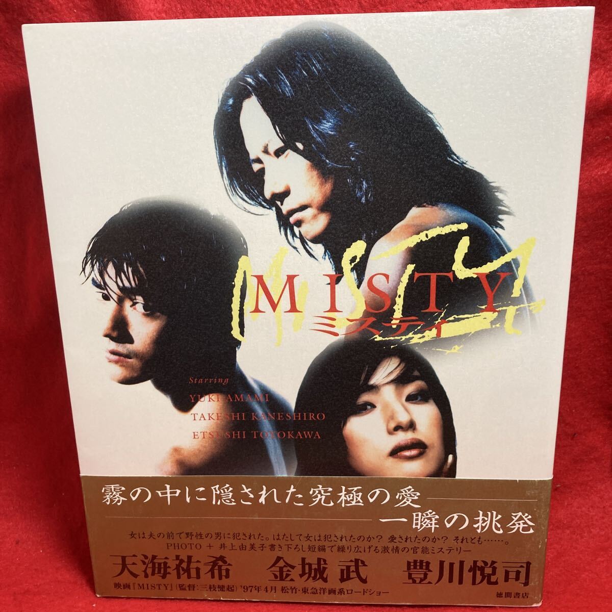 初版】MISTYミスティ/天海祐希豊川悦司金城武/写真集の落札情報詳細
