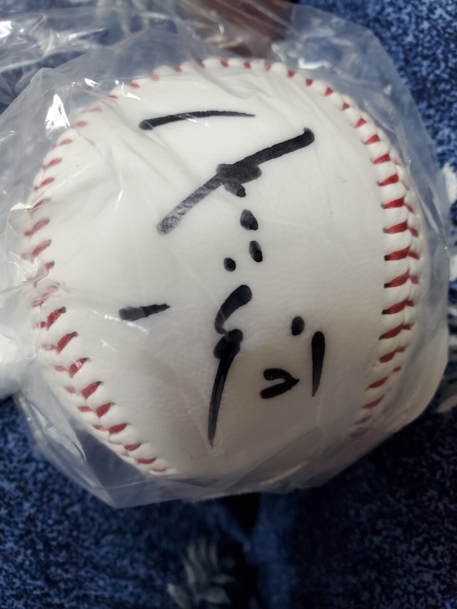 楽天イーグルス 辰己涼介 7 直筆サイン色紙 ドラフト1位 立命館大学 の
