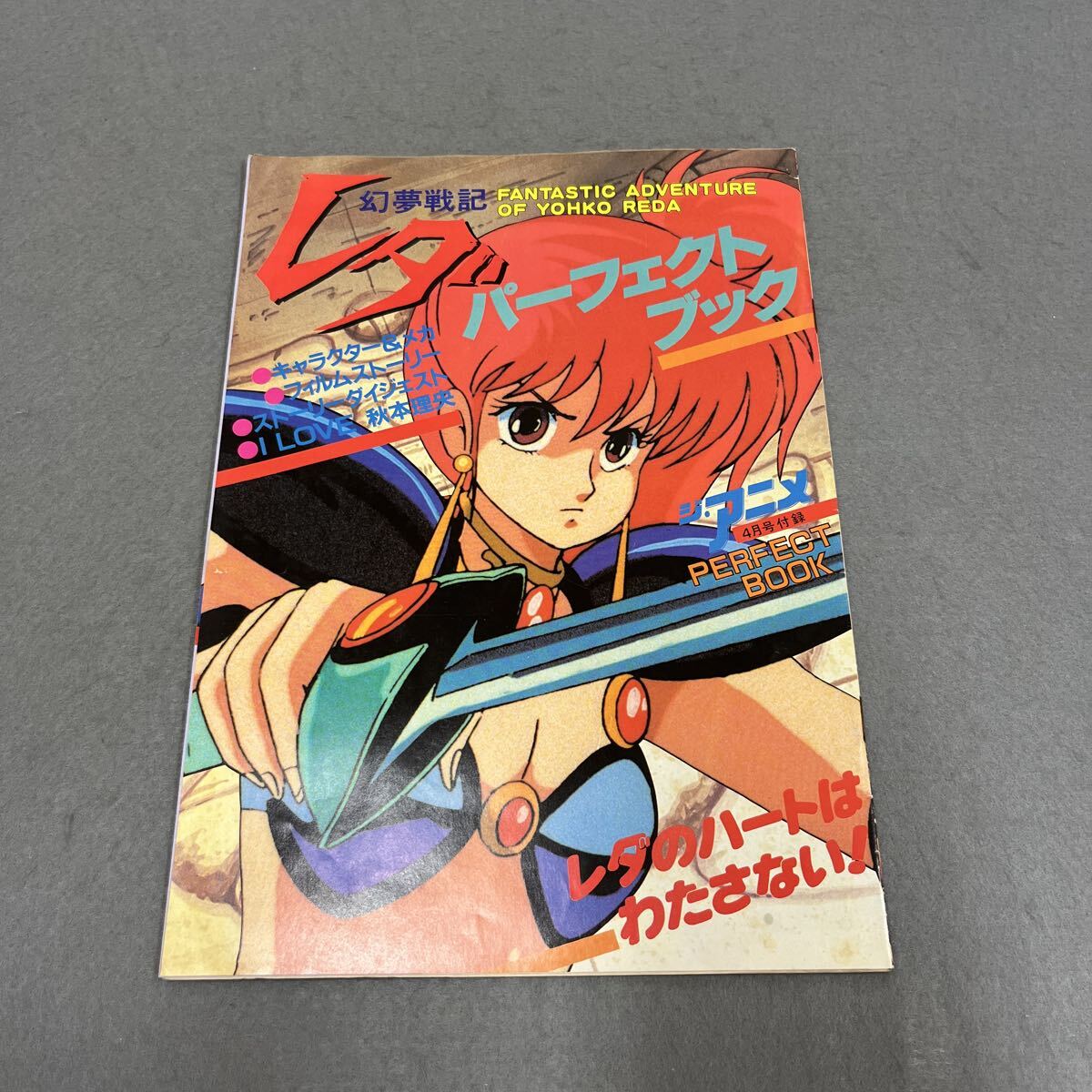 中古】185xp/601O○幻夢戦記レダ イラスト＆原画集 デラックス近代映画