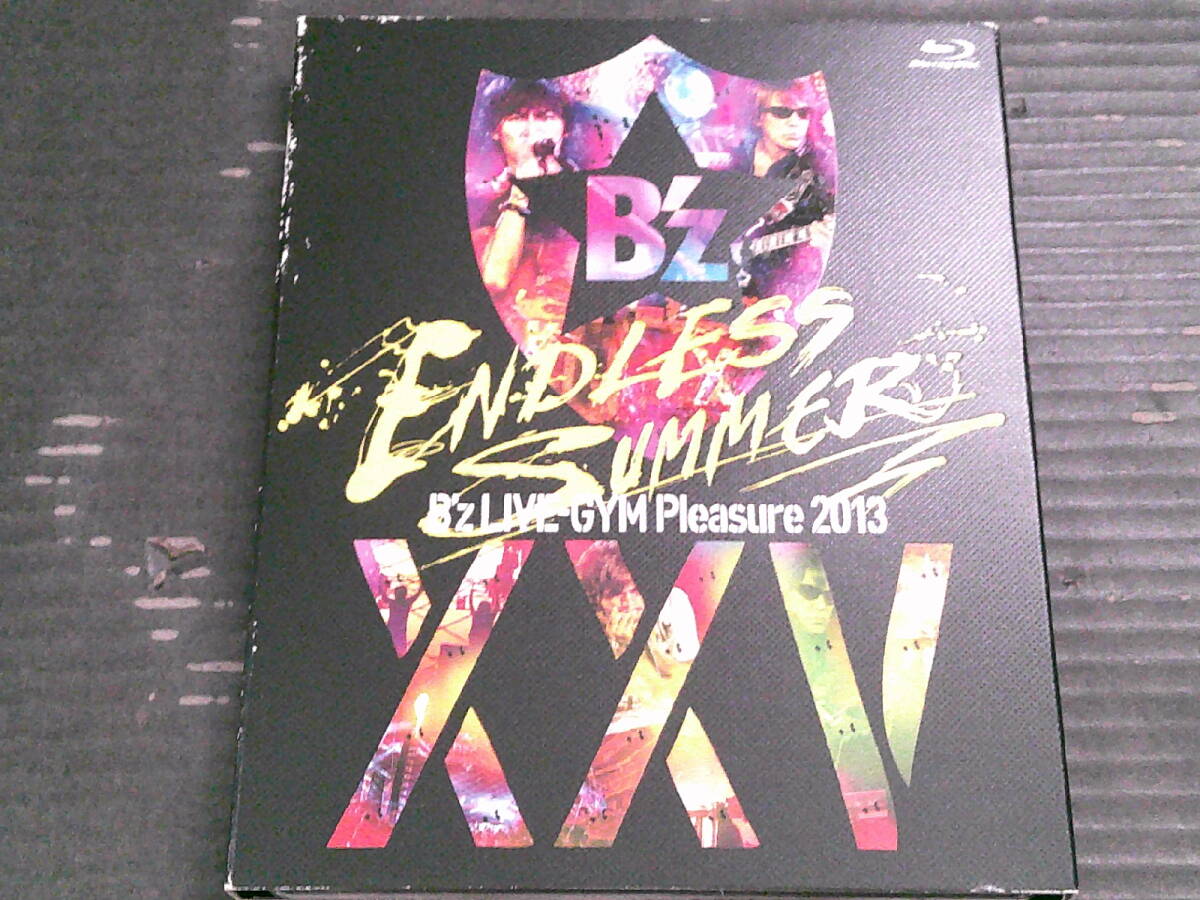 B'z LIVE-GYM Pleasure 2013 ENDLESS SUMMER Tシャツ・XL・ボーダー