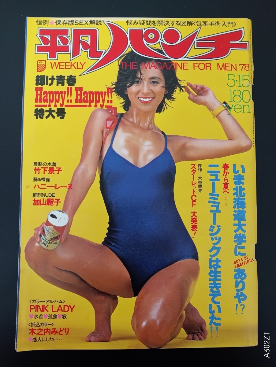 傷や汚れあり】ハニー・レイヌ ポスター パネル ELLE ハニー・レーヌ