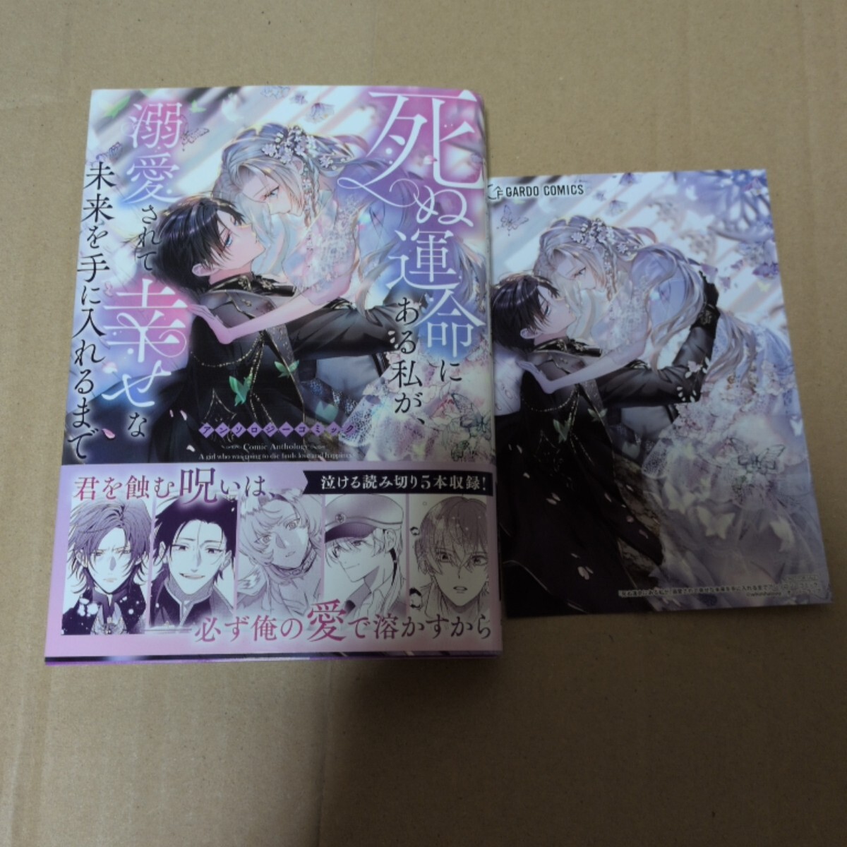 けいおん 全4巻+College+hig Schoo+アンソロジーコミック全5巻+