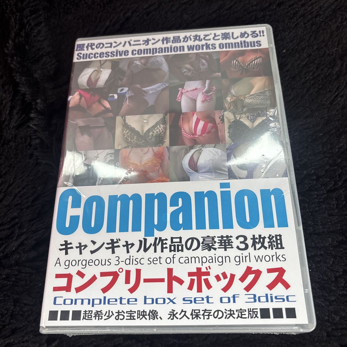 中古】中山恵美 1990 DUNLOPカレンダー 下敷きタイプ 非売品