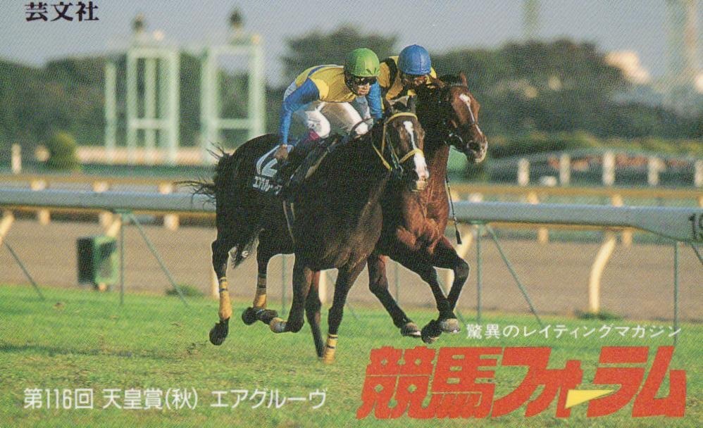 新品】□優駿 未来に語り継ぎたい名馬 写真集 17位 エアグルーヴ