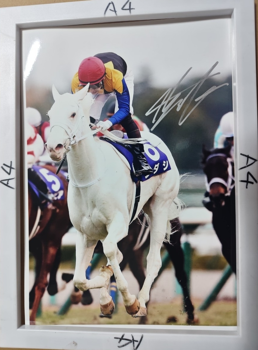 新品】ソダシ 吉田隼人騎手直筆サイン色紙 阪神ジュベナイルフィリーズ