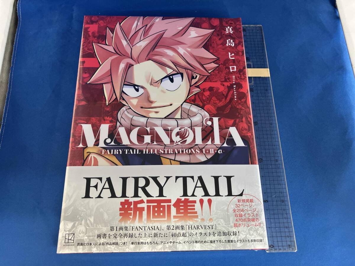 真島ヒロ FANTASIA -FAIRY TAIL ILLUSTRATIONS- 画集 送料185円～の
