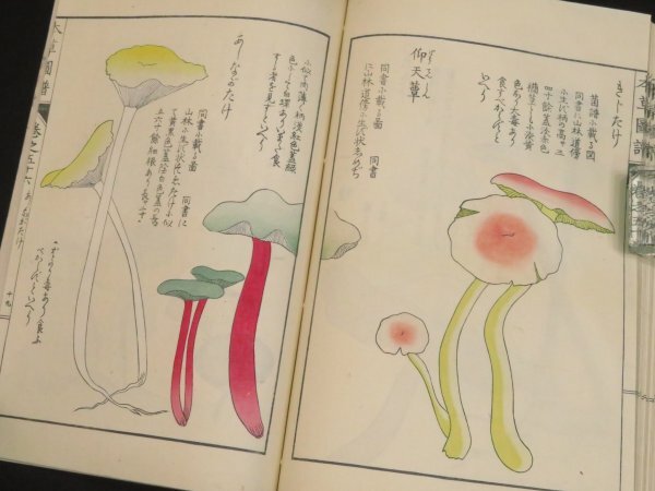 中古】江戸 ～ 明治 初期 和本 浮世絵 枕絵 艶本 春本「明石 十六景