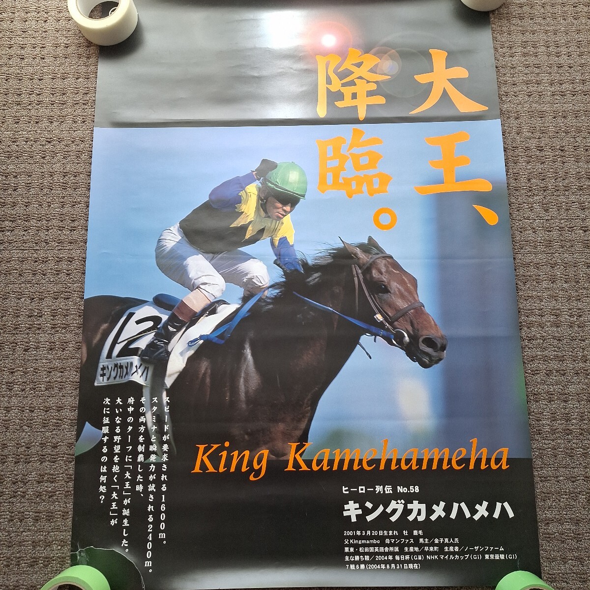 限定品】キングカメハメハ 第71回 日本ダービー avanti Sサイズ 競馬