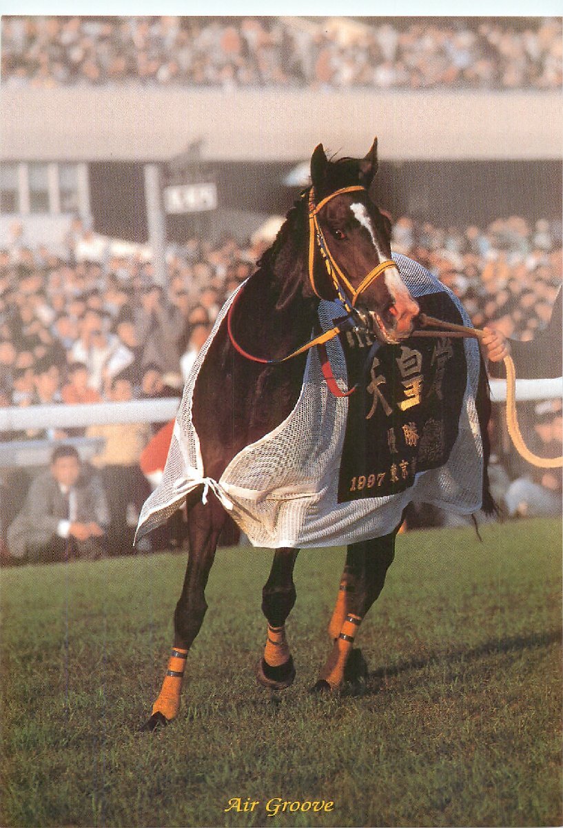 新品】□優駿 未来に語り継ぎたい名馬 写真集 17位 エアグルーヴ